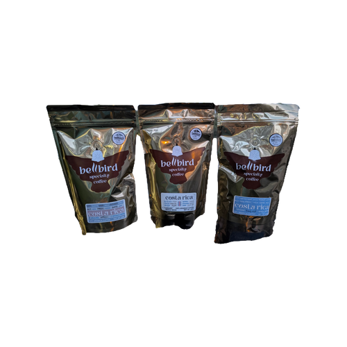 Coffee Taste Journey